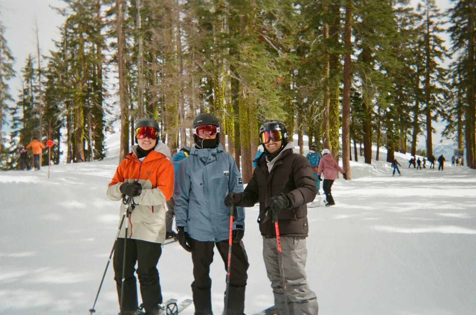 Three Melius team members in ski gear posing with poles on a snowy, tree-lined mountain slope.