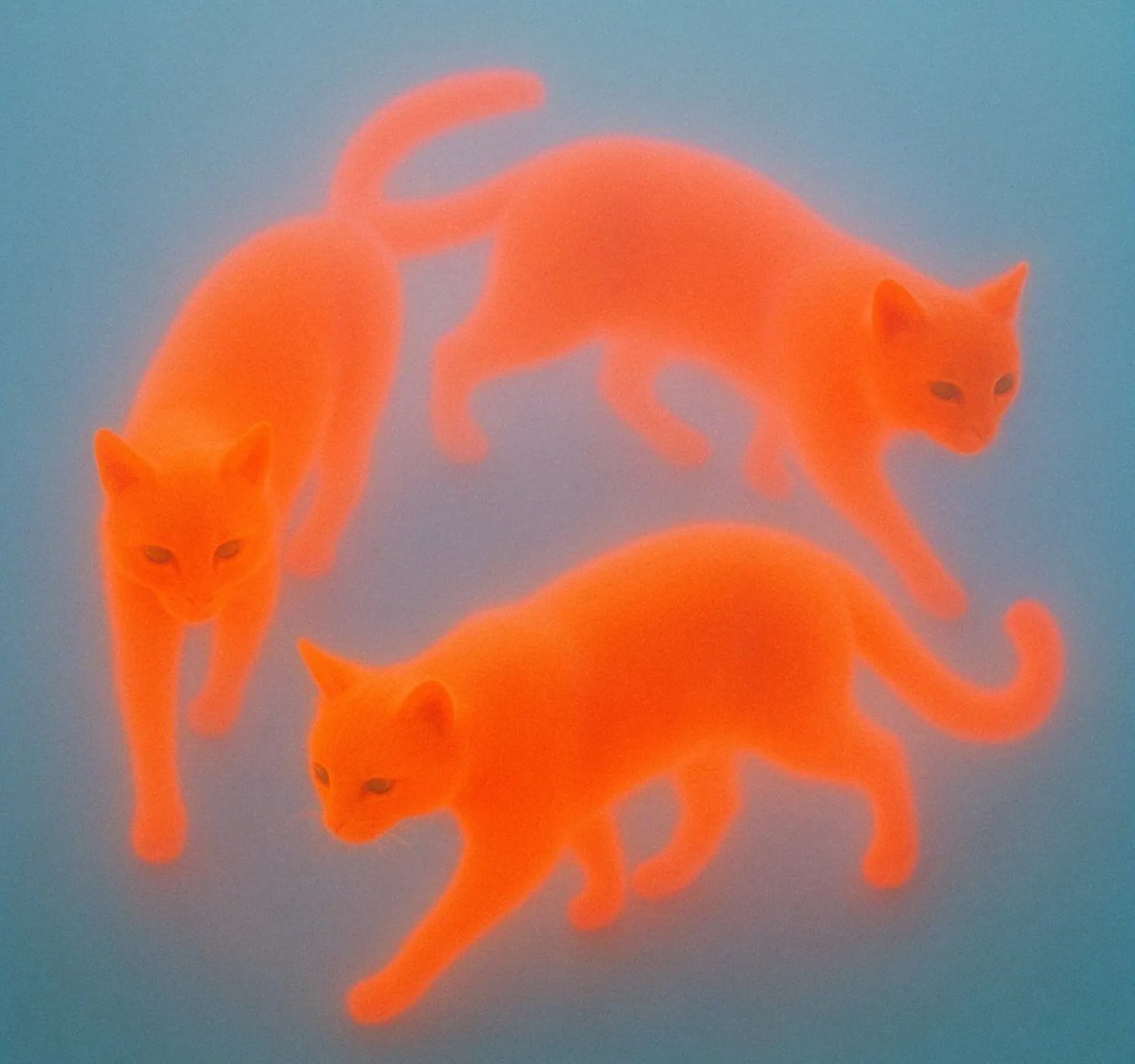 Supporting color image with luminous contrast.