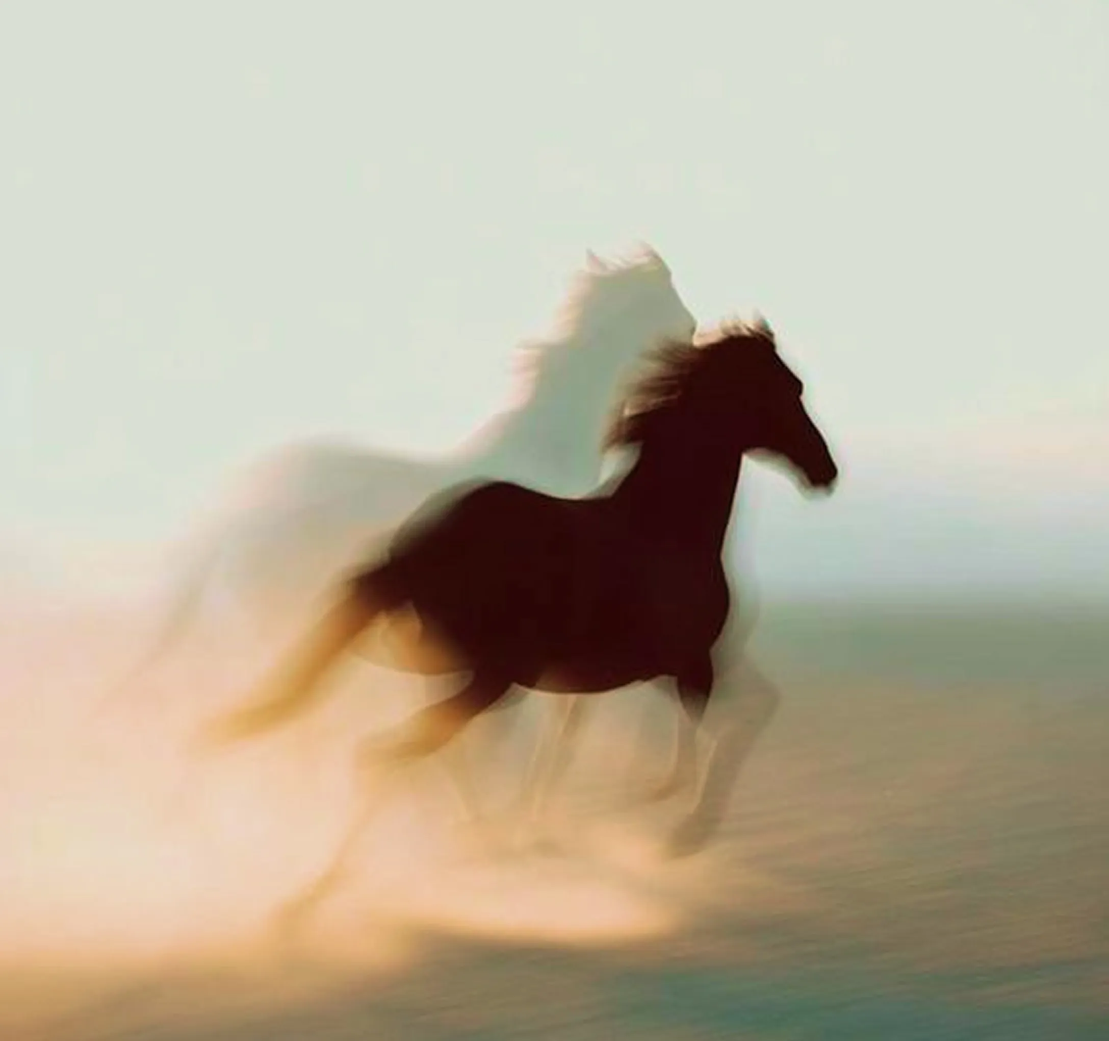 Supporting distortion image with motion blur.